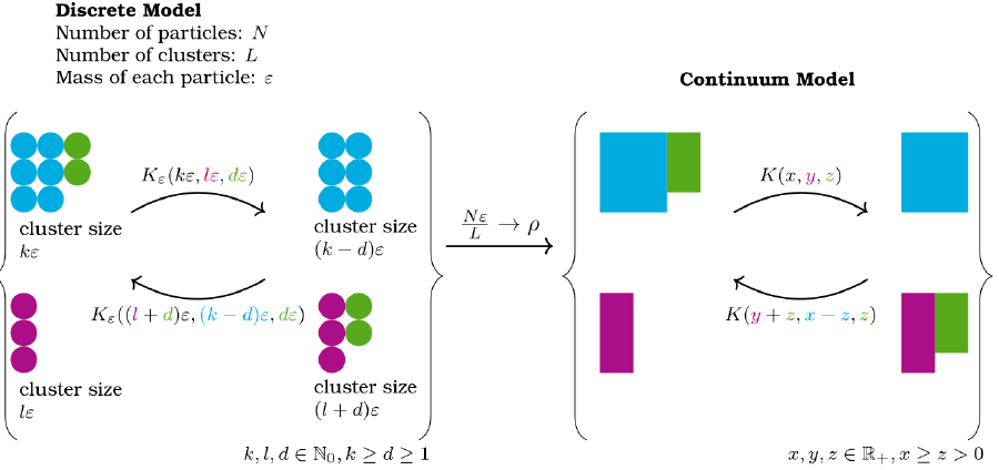Illustration of the convergence of the discrete exchangre-driven growth model ot its continuous counterpart.